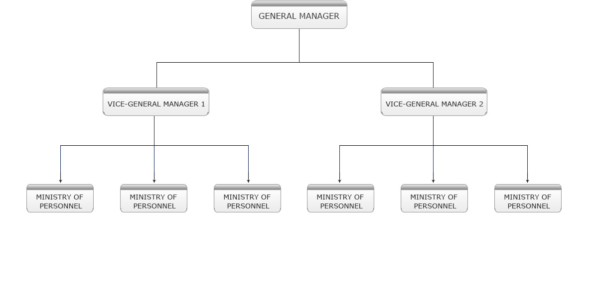 Organization Structure